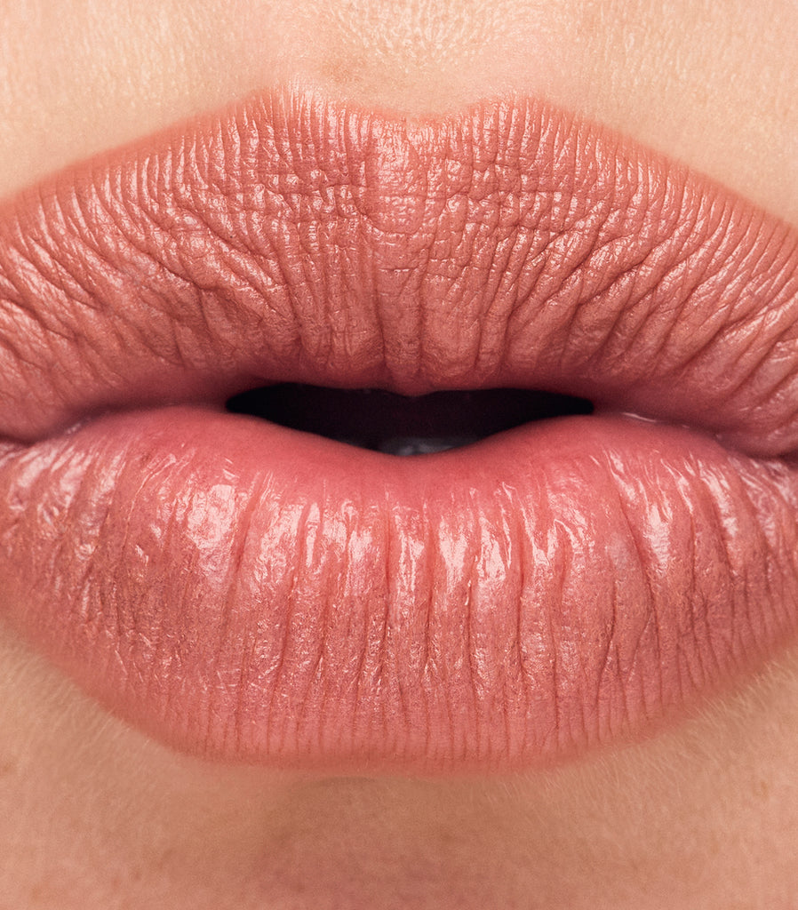 Continuum Lip Liner in Atmospheric